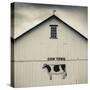 USA, Pennsylvania, Dutch Country, Smoketown, Barn with Cow Art-Walter Bibikow-Stretched Canvas