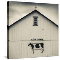 USA, Pennsylvania, Dutch Country, Smoketown, Barn with Cow Art-Walter Bibikow-Stretched Canvas