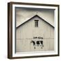 USA, Pennsylvania, Dutch Country, Smoketown, Barn with Cow Art-Walter Bibikow-Framed Photographic Print