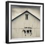 USA, Pennsylvania, Dutch Country, Smoketown, Barn with Cow Art-Walter Bibikow-Framed Photographic Print