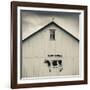 USA, Pennsylvania, Dutch Country, Smoketown, Barn with Cow Art-Walter Bibikow-Framed Photographic Print