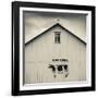 USA, Pennsylvania, Dutch Country, Smoketown, Barn with Cow Art-Walter Bibikow-Framed Photographic Print