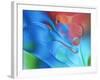 USA, Pennsylvania, Erie. Oil Abstract-Ellen Anon-Framed Photographic Print