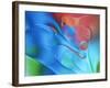 USA, Pennsylvania, Erie. Oil Abstract-Ellen Anon-Framed Photographic Print