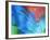 USA, Pennsylvania, Erie. Oil Abstract-Ellen Anon-Framed Photographic Print