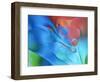 USA, Pennsylvania, Erie. Oil Abstract-Ellen Anon-Framed Photographic Print