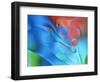 USA, Pennsylvania, Erie. Oil Abstract-Ellen Anon-Framed Photographic Print