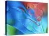 USA, Pennsylvania, Erie. Oil Abstract-Ellen Anon-Stretched Canvas