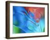 USA, Pennsylvania, Erie. Oil Abstract-Ellen Anon-Framed Premium Photographic Print