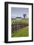 USA, Pennsylvania, Gettysburg, Battle of Gettysburg, Battlefield Fence-Walter Bibikow-Framed Photographic Print