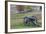 USA, Pennsylvania, Gettysburg, Battle of Gettysburg, Civil War Cannon-Walter Bibikow-Framed Photographic Print