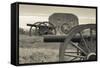 USA, Pennsylvania, Gettysburg, Battlefield Monument and Cannon-Walter Bibikow-Framed Stretched Canvas