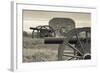 USA, Pennsylvania, Gettysburg, Battlefield Monument and Cannon-Walter Bibikow-Framed Photographic Print