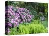 USA, Pennsylvania. Hydrangea shrub and park bench.-Julie Eggers-Stretched Canvas