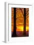 USA, Pennsylvania, King of Prussia. Tree Silhouette at Sunrise-Jay O'brien-Framed Photographic Print