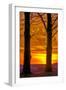 USA, Pennsylvania, King of Prussia. Tree Silhouette at Sunrise-Jay O'brien-Framed Photographic Print