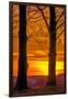 USA, Pennsylvania, King of Prussia. Tree Silhouette at Sunrise-Jay O'brien-Framed Premium Photographic Print