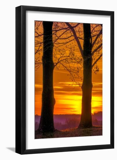 USA, Pennsylvania, King of Prussia. Tree Silhouette at Sunrise-Jay O'brien-Framed Premium Photographic Print