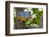 USA, Pennsylvania. Moth on Garden Sign-Jaynes Gallery-Framed Photographic Print