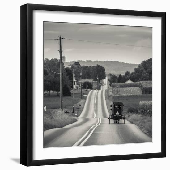 USA, Pennsylvania, Pennsylvania Dutch Country, Paradise, Amish Horse and Buggy on Paradise Lane-Walter Bibikow-Framed Photographic Print