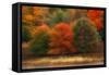 USA, Pennsylvania, Pocono Mountains. Autumn Landscape Montage-Jaynes Gallery-Framed Stretched Canvas