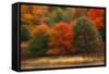 USA, Pennsylvania, Pocono Mountains. Autumn Landscape Montage-Jaynes Gallery-Framed Stretched Canvas