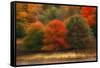 USA, Pennsylvania, Pocono Mountains. Autumn Landscape Montage-Jaynes Gallery-Framed Stretched Canvas