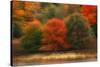 USA, Pennsylvania, Pocono Mountains. Autumn Landscape Montage-Jaynes Gallery-Stretched Canvas