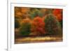 USA, Pennsylvania, Pocono Mountains. Autumn Landscape Montage-Jaynes Gallery-Framed Photographic Print