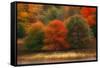 USA, Pennsylvania, Pocono Mountains. Autumn Landscape Montage-Jaynes Gallery-Framed Stretched Canvas