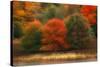 USA, Pennsylvania, Pocono Mountains. Autumn Landscape Montage-Jaynes Gallery-Stretched Canvas