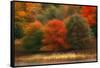 USA, Pennsylvania, Pocono Mountains. Autumn Landscape Montage-Jaynes Gallery-Framed Stretched Canvas