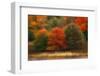 USA, Pennsylvania, Pocono Mountains. Autumn Landscape Montage-Jaynes Gallery-Framed Photographic Print