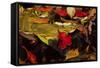 USA, Pennsylvania, Pocono Mountains. Autumns Leaves in Stream-Jaynes Gallery-Framed Stretched Canvas