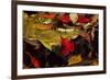 USA, Pennsylvania, Pocono Mountains. Autumns Leaves in Stream-Jaynes Gallery-Framed Photographic Print