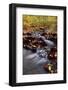 USA, Pennsylvania, Pocono Mountains. Cascade in Autumn Scenic-Jaynes Gallery-Framed Photographic Print