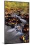 USA, Pennsylvania, Pocono Mountains. Cascade in Autumn Scenic-Jaynes Gallery-Mounted Photographic Print