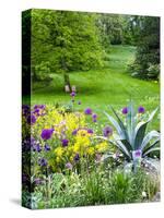 USA, Pennsylvania. Purple allium amongst other flowers in a spring garden.-Julie Eggers-Stretched Canvas