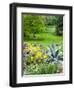 USA, Pennsylvania. Purple allium amongst other flowers in a spring garden.-Julie Eggers-Framed Photographic Print