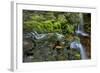 USA, Pennsylvania, Ricketts Glen SP. Flowing stream from waterfall.-Jay O'brien-Framed Photographic Print