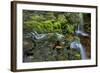 USA, Pennsylvania, Ricketts Glen SP. Flowing stream from waterfall.-Jay O'brien-Framed Photographic Print