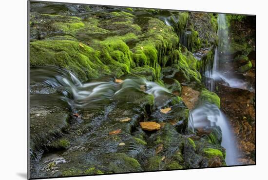 USA, Pennsylvania, Ricketts Glen SP. Flowing stream from waterfall.-Jay O'brien-Mounted Photographic Print