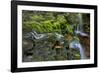 USA, Pennsylvania, Ricketts Glen SP. Flowing stream from waterfall.-Jay O'brien-Framed Photographic Print