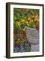 USA, Pennsylvania, Wayne, Chanticleer Garden. Flower Scenic-Jay O'brien-Framed Photographic Print