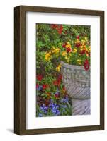 USA, Pennsylvania, Wayne, Chanticleer Garden. Flower Scenic-Jay O'brien-Framed Photographic Print