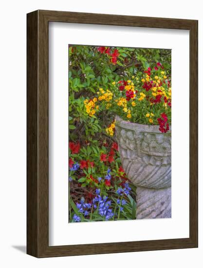 USA, Pennsylvania, Wayne, Chanticleer Garden. Flower Scenic-Jay O'brien-Framed Photographic Print