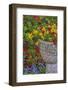 USA, Pennsylvania, Wayne, Chanticleer Garden. Flower Scenic-Jay O'brien-Framed Photographic Print