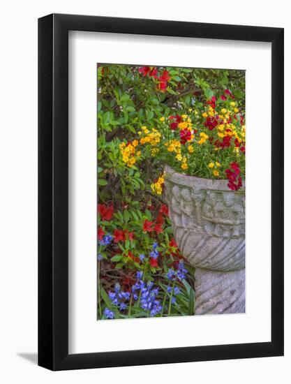 USA, Pennsylvania, Wayne, Chanticleer Garden. Flower Scenic-Jay O'brien-Framed Photographic Print