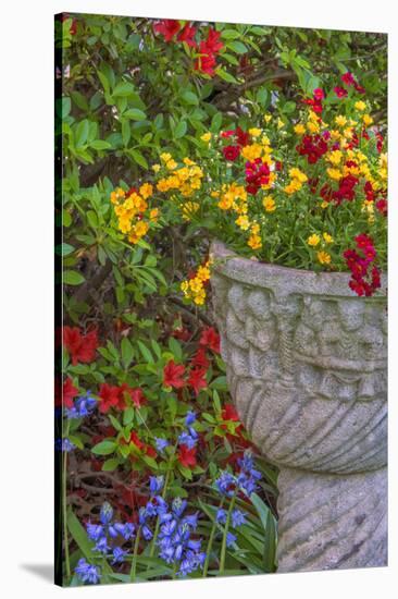 USA, Pennsylvania, Wayne, Chanticleer Garden. Flower Scenic-Jay O'brien-Stretched Canvas