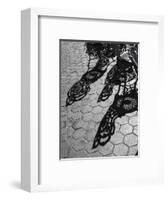 USA, Pennsylvania. Wrought iron chairs and shadows on a patio on a sunny day.-Julie Eggers-Framed Photographic Print